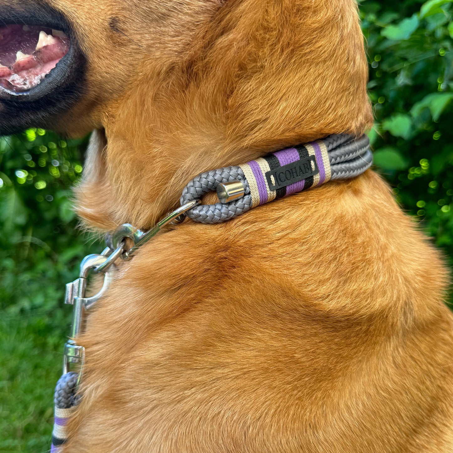 halsband "lavender"