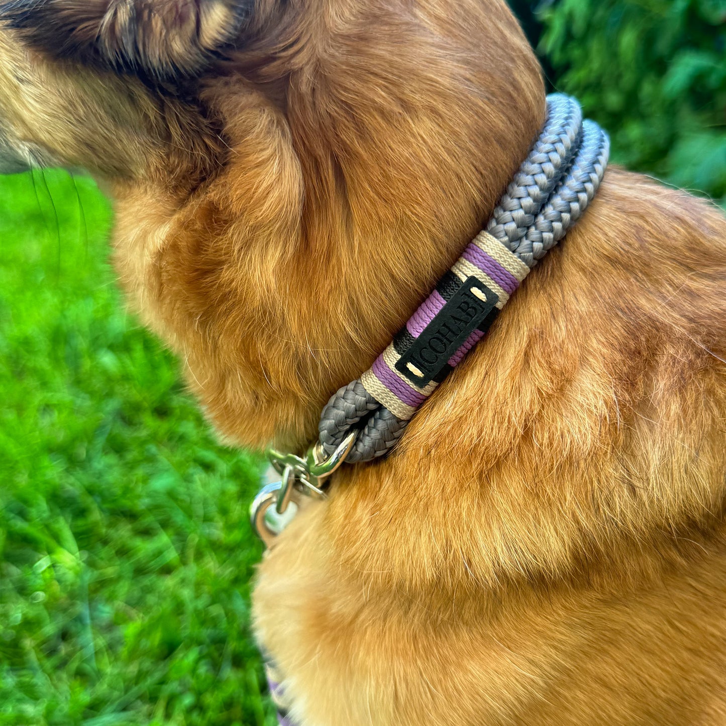 halsband "lavender" 31cm