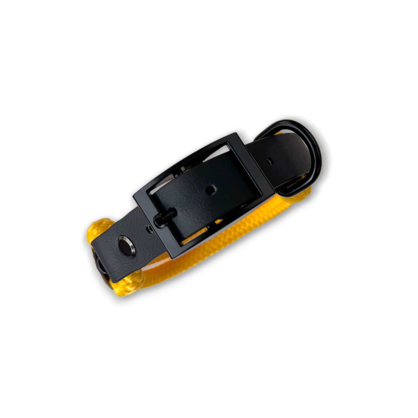 halsband "honey" verstellbar