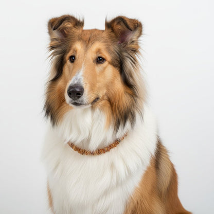 bernsteinkette "flexi"