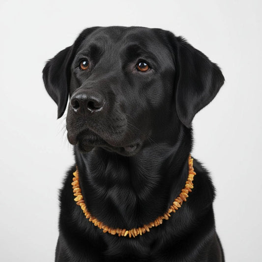 bernsteinkette "sonne"