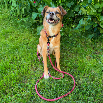 leine "ruby red"