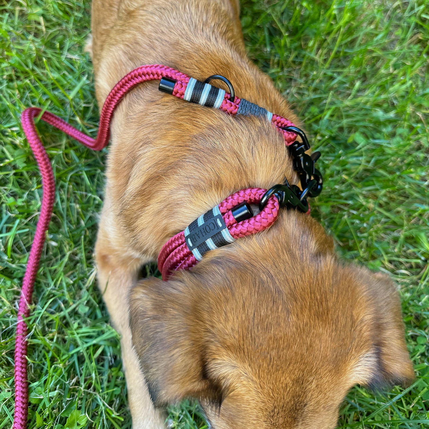 leine "ruby red"