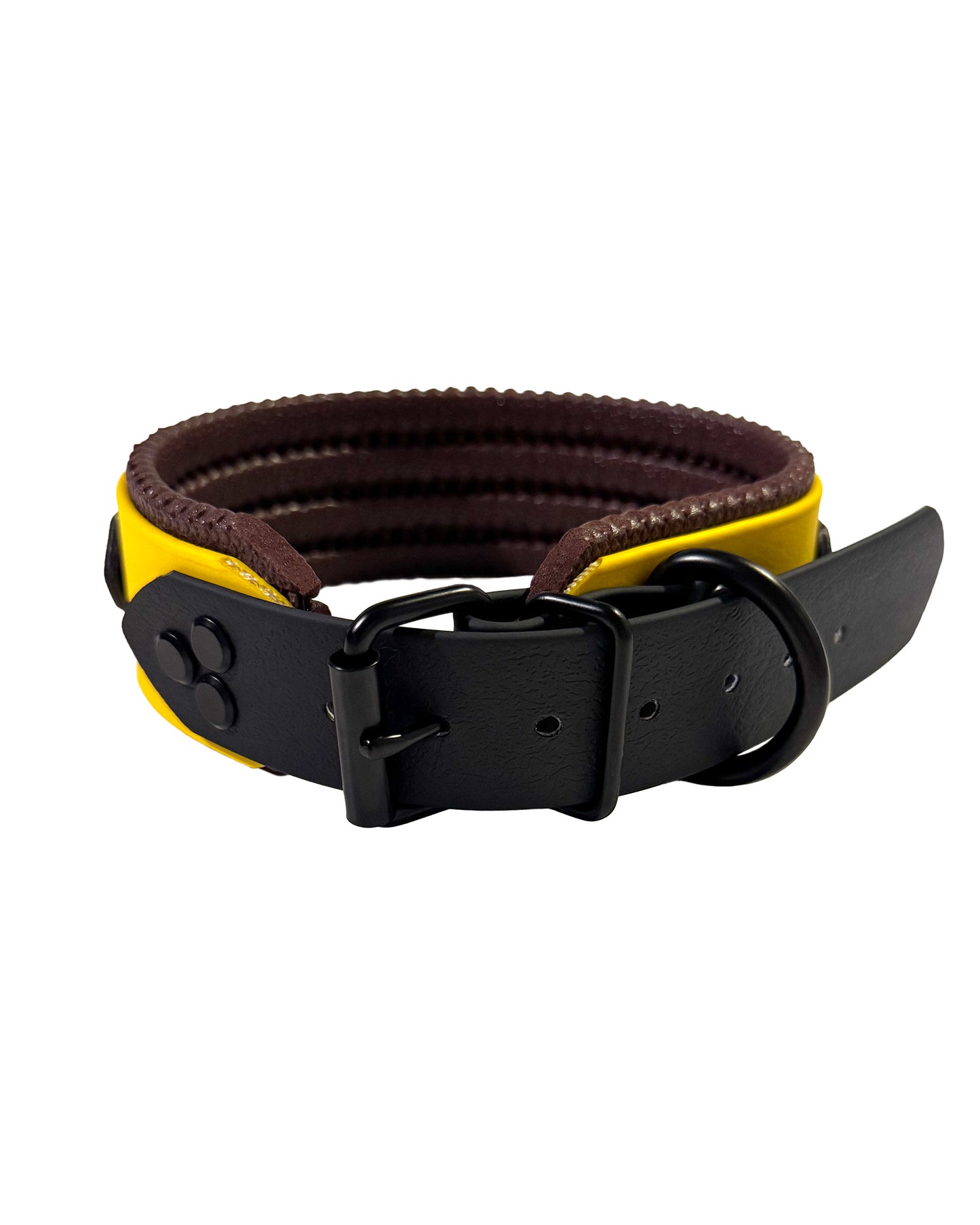 XL halsband wasserfest "honey"