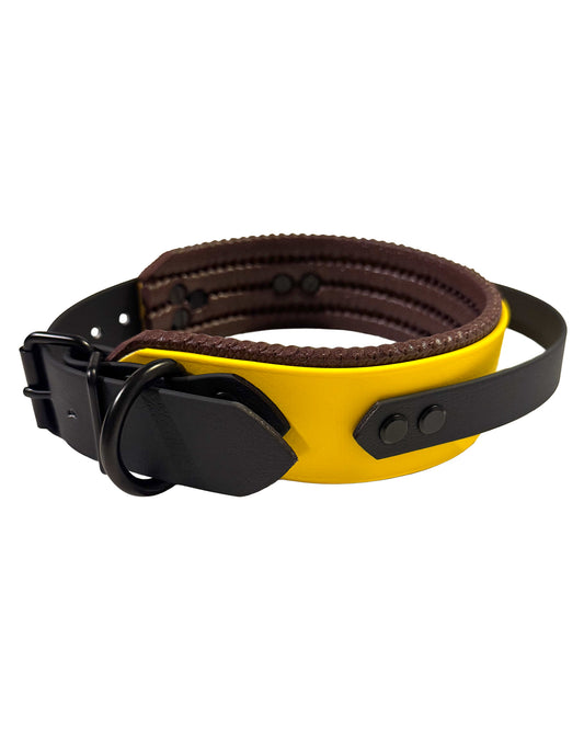 XL halsband wasserfest "honey"